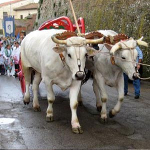 valdichiana-outlet